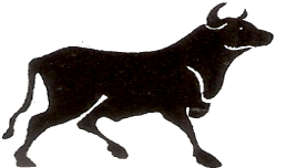 Taurus logo